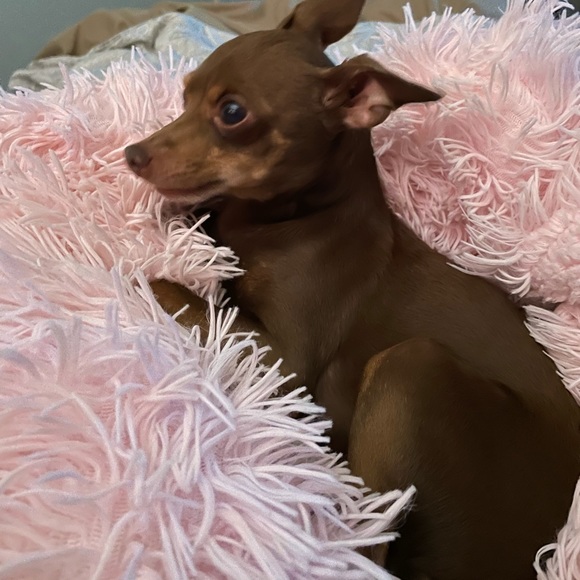 I’m BACK! - Picture 5 of 5